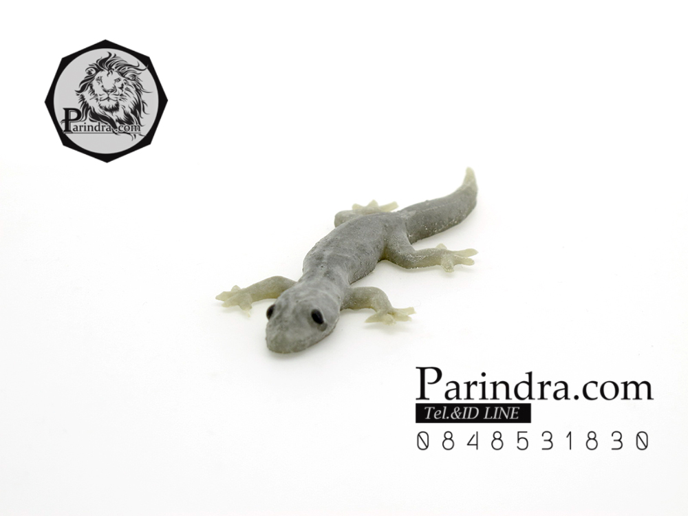 จิ้งจกปลอม จิ้งจกตาดำ แกล้งคน แกล้งเพื่อน เหมือนมาก