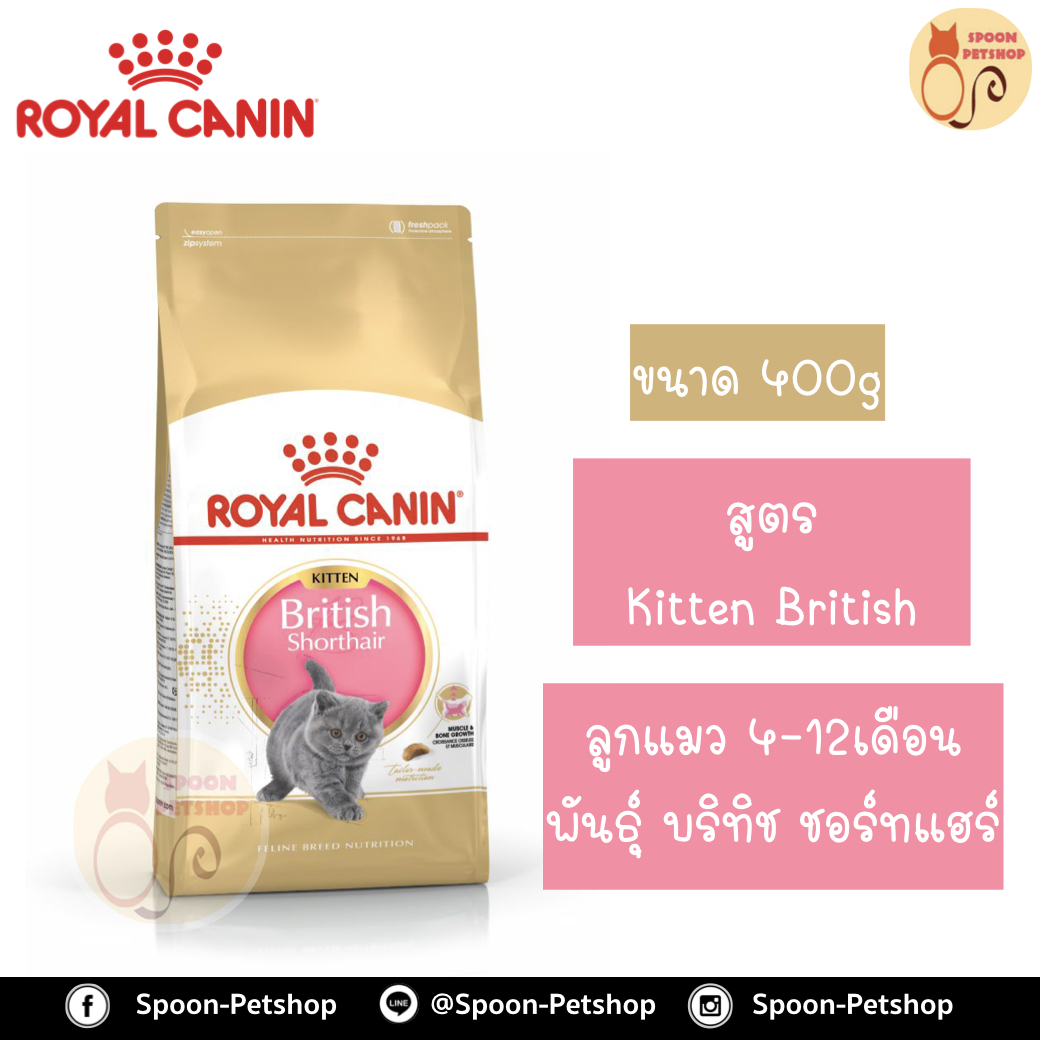 Royal Canin อาหารแมว โรยัล คานิน Kitten British Shorthair 38 แพ็คโรงงาน 0.4kg สำหรับ ลูกแมว สายพันธุ์ บริติช ชอร์ทแฮร์