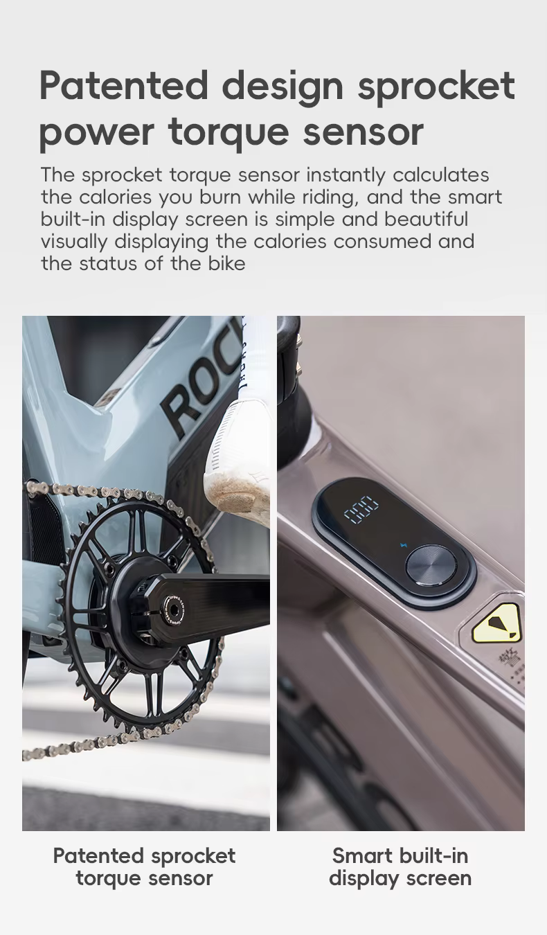 ROCKBROS FTR E-BIKE จักรยานไฟฟ้าคาร์บอน 13.8 กก. | มอเตอร์ 250W | แบต LG | วิ่ง 150 กม. | L-TWOO 11 สปีด