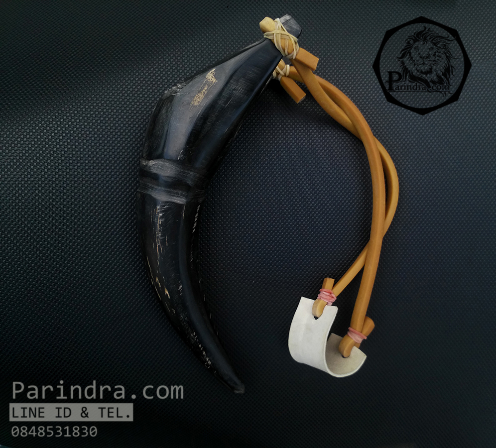 หนังสติ๊กเขาควายดำ โค้งงอ เข้ารูปสวยงาม