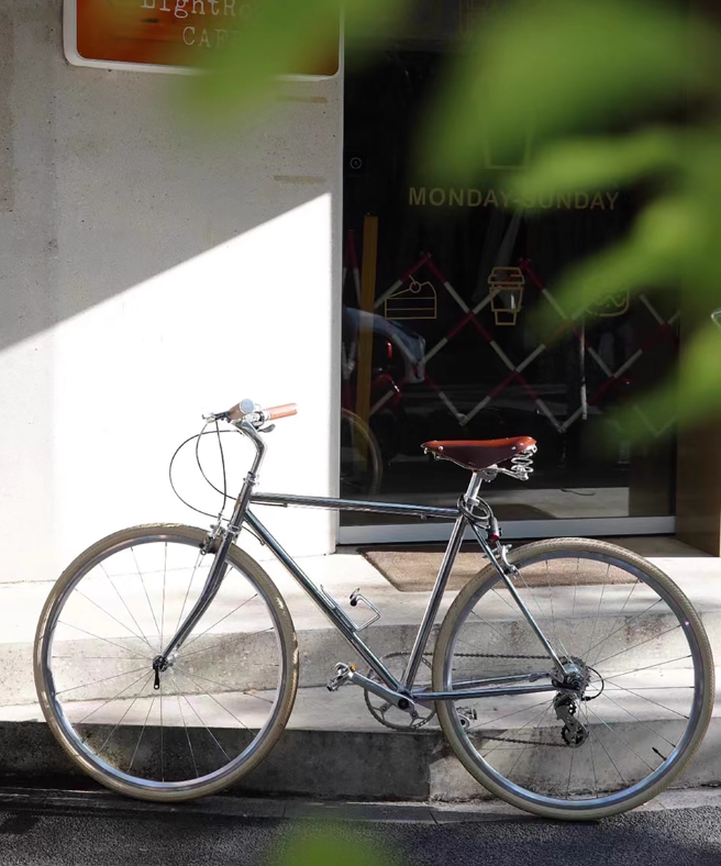 จักรยาน ETALY ET01 รุ่นย้อนยุค ผู้หญิง เกียร์เดี่ยว โครงคาร์บอน สีเงินโครเมียม | น้ำหนักเบา