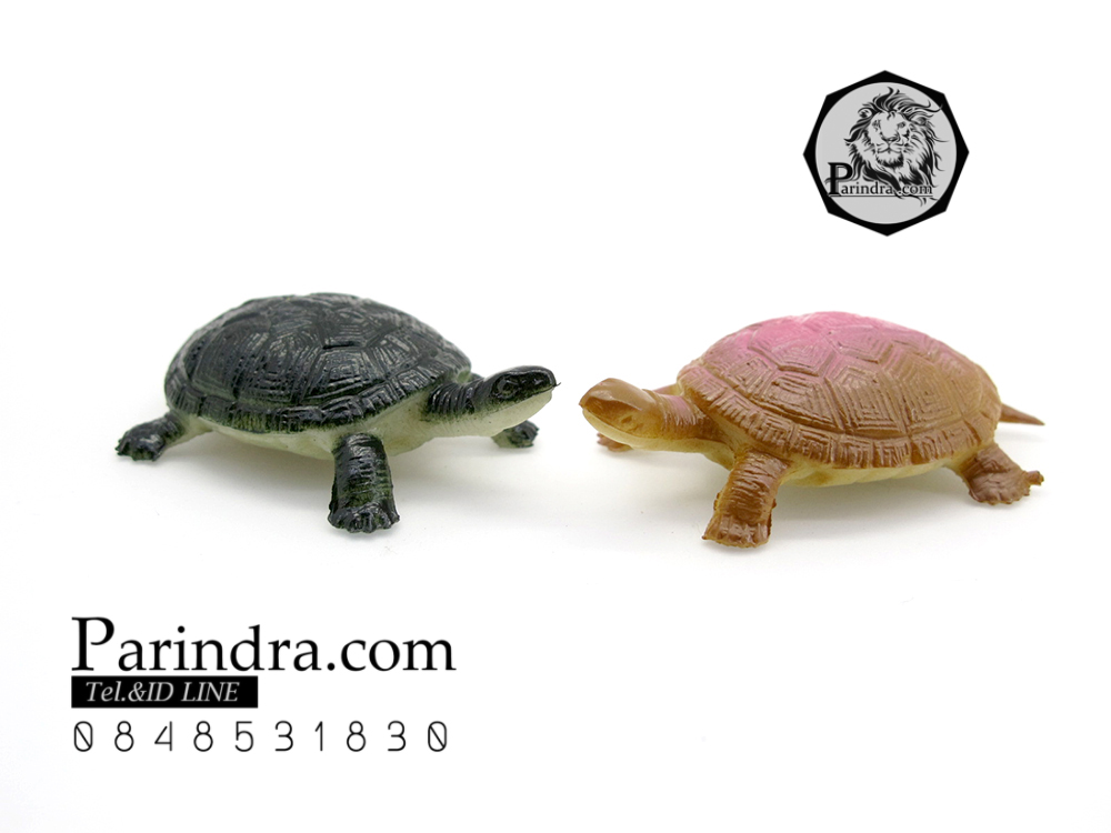 โมเดลเต่า ชุดคู่สองตัว