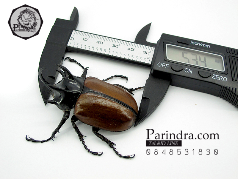 เครื่องวัดดิจิตอล Digital Vernier caliper เวอร์เนียร์ คาลิปเปอร์