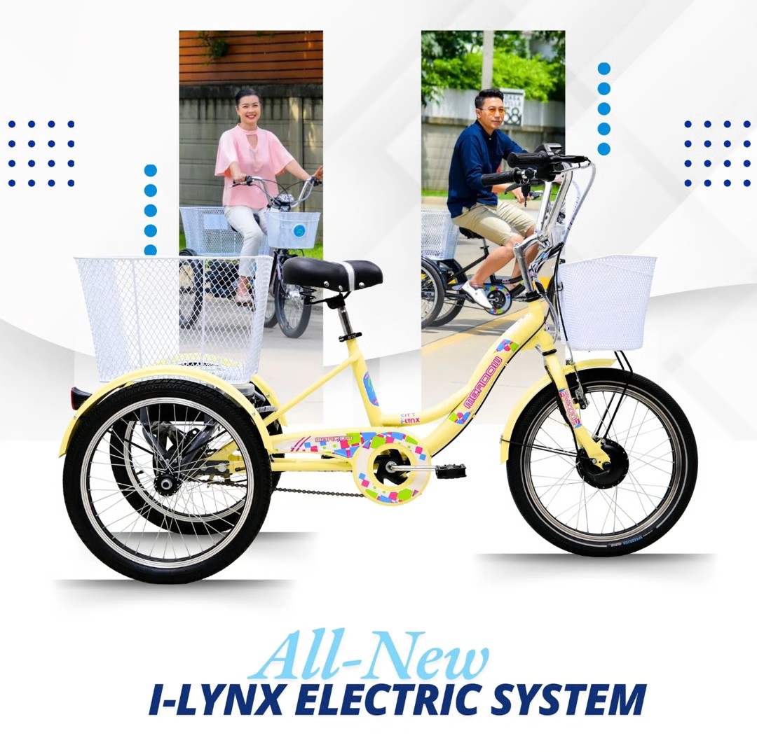 MEADOW i-Lynx 20” MY2025 จักรยานสามล้อไฟฟ้า ขับเคลื่อนด้วยมอเตอร์ทรงพลัง แบตเตอรี่ยาวนาน เหมาะสำหรับผู้สูงอายุ หรือใช้งานในเมือง สะดวก ปลอดภัย ควบคุมง่าย