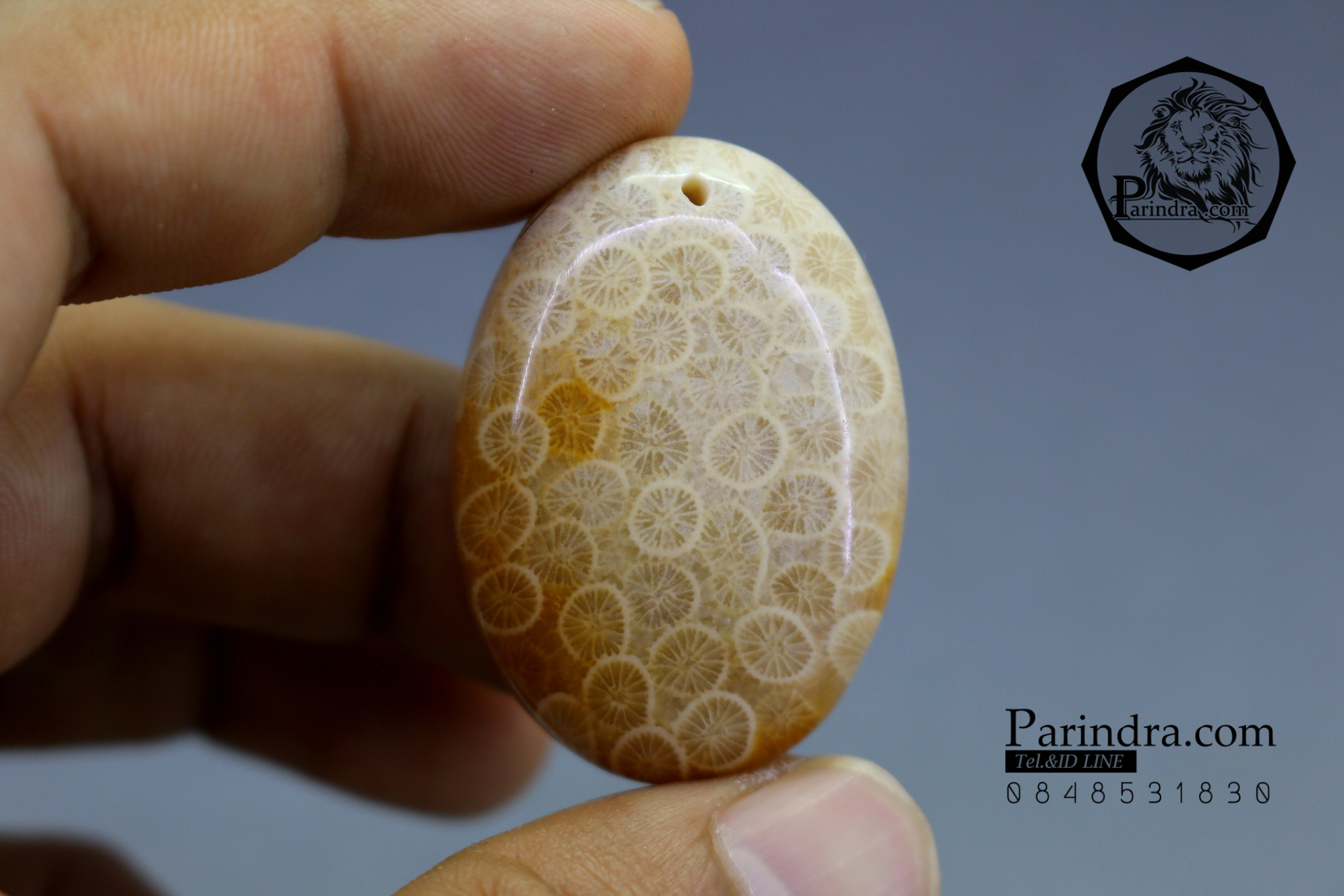 ฟอสซิลหินปะการังขัด Fossil Coral ใหญ่และหนา สำหรับห้อยคอ หรือ พวงกุญแจ คัดสวยพิเศษ #CRF013