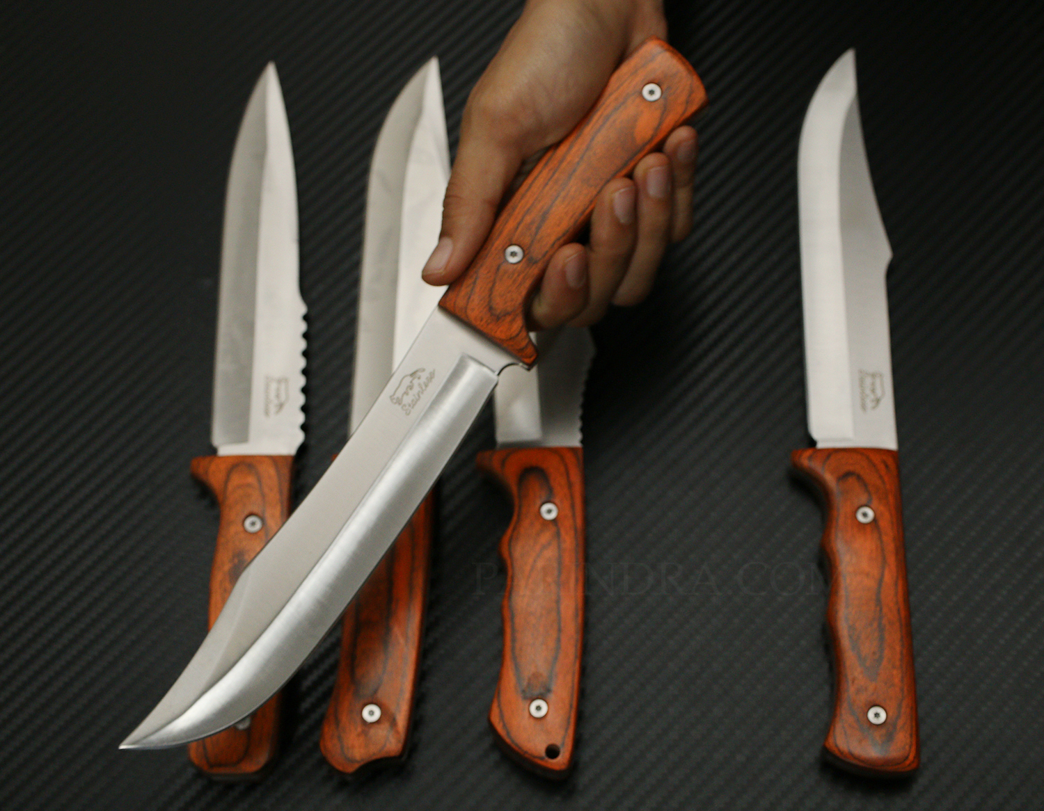 มีดเดินป่า STAINLESS STEEL ด้ามสีน้ำตาลส้ม คุณภาพดีราคาประหยัด ขนาด 12 นิ้ว