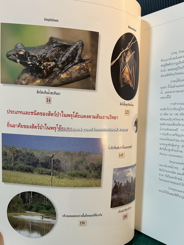 สัตว์ป่าในพรุโต๊ะแดง ( นราธิวาส ) โดย ศูนย์วิจัยและศึกษาธรรมชาติป่าพรุโต๊ะแดง