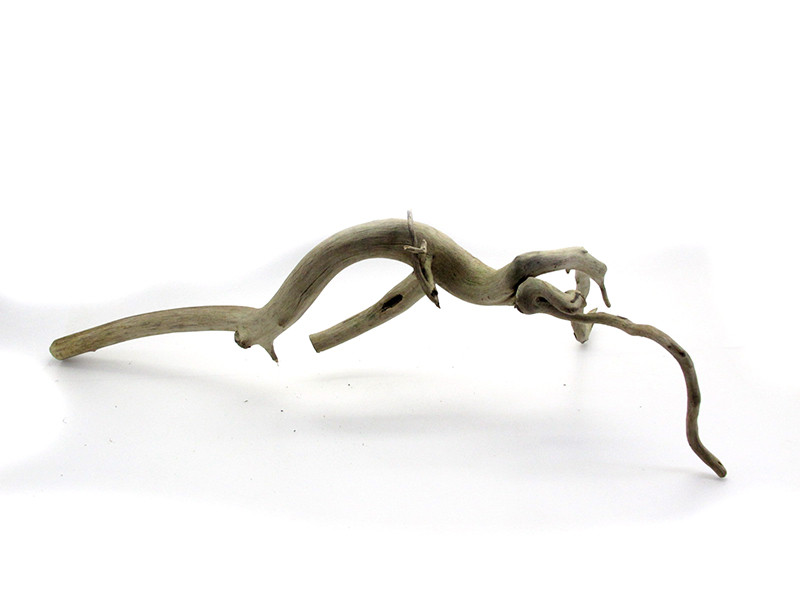 ขอนไม้ตกแต่งตู้ปลาหรือใช้เลี้ยงสัตว์เลื้อยคลาน 078