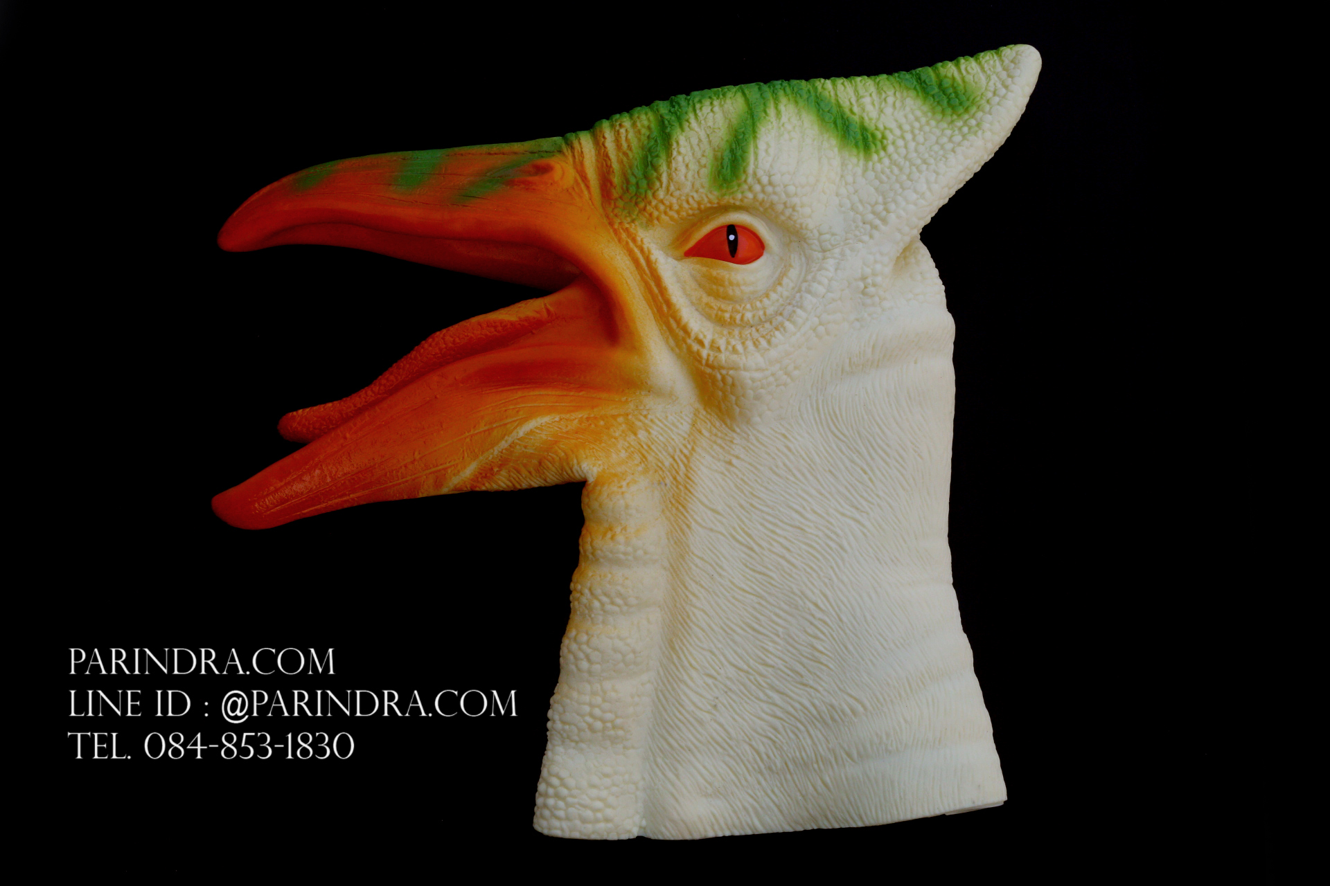 โมเดล ถุงมือยาง หัวนกไดโนเสาร์