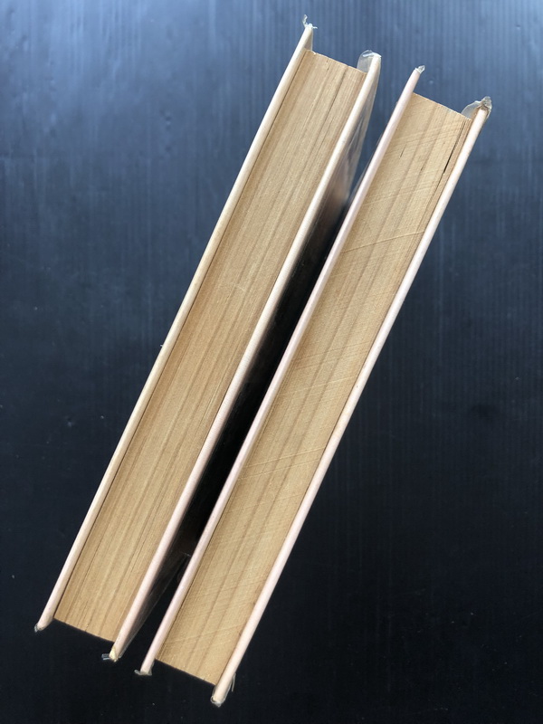 กัลปังหา ( 2 เล่มจบ ) ผลงานของ พนมเทียน ( ฉัตรชัย วิเศษสุวรรณภูมิ ศิลปินแห่งชาติ )