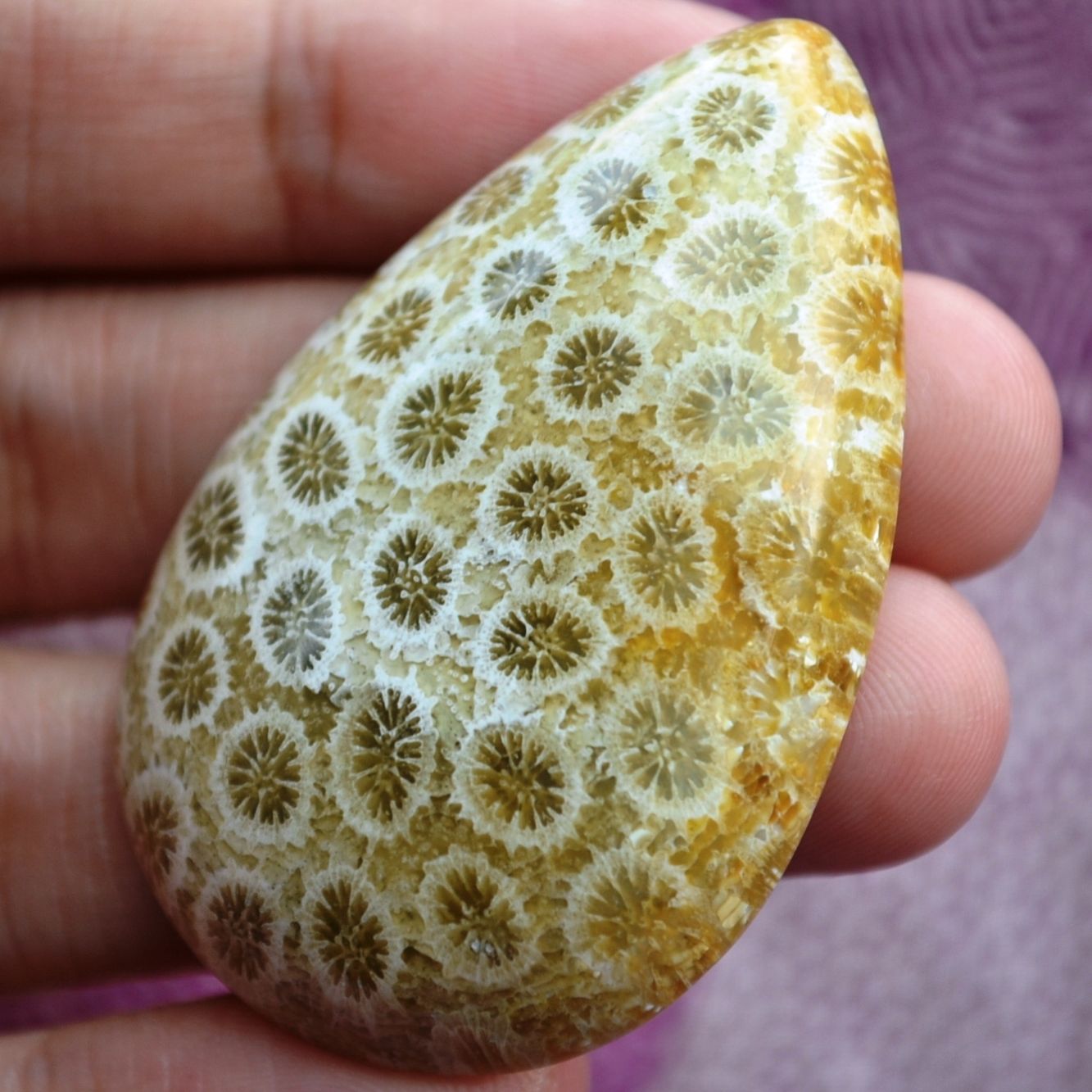 ฟอสซิลหินปะการังขัด Fossil Coral ใหญ่และหนา สำหรับห้อยคอ หรือ พวงกุญแจ คัดสวยพิเศษ #CRF018