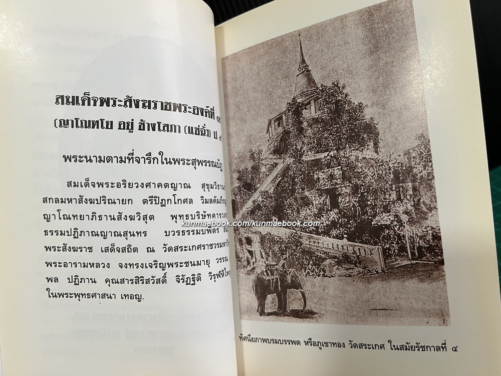 หนังสือชุดพระเกียรติคุณ สมเด็จพระสังฆราชแห่งกรุงรัตนโกสินทร์ 19 พระองค์ ( 17 เล่ม )