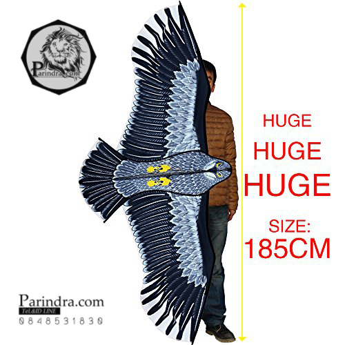 ว่าวนกอินทรีย์ ต่างประเทศ ขนาดปีก 1.5 เมตร น่าเล่นครับ