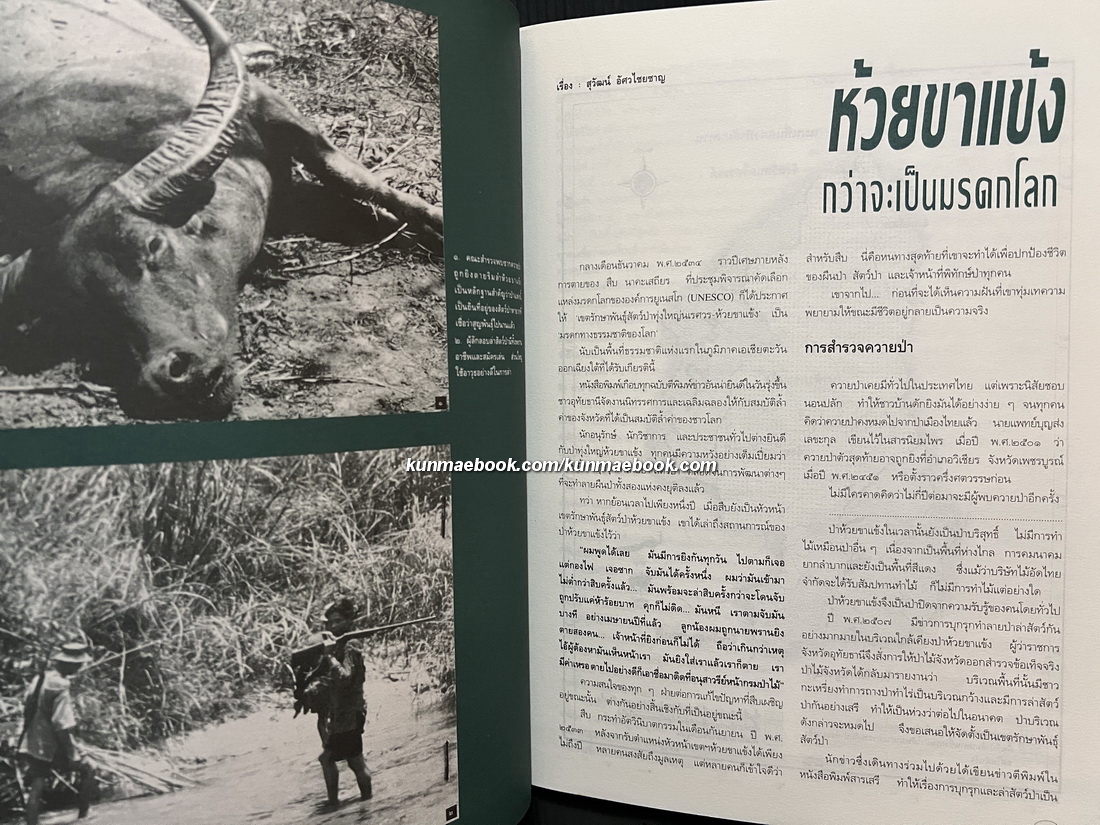 ห้วยขาแข้ง 'รวมสารคดี-ภาพ ป่าและสัตว์ป่าหายาก ที่เป็นมรดกสัตว์ป่าและพืชพันธุ์ของโลก'