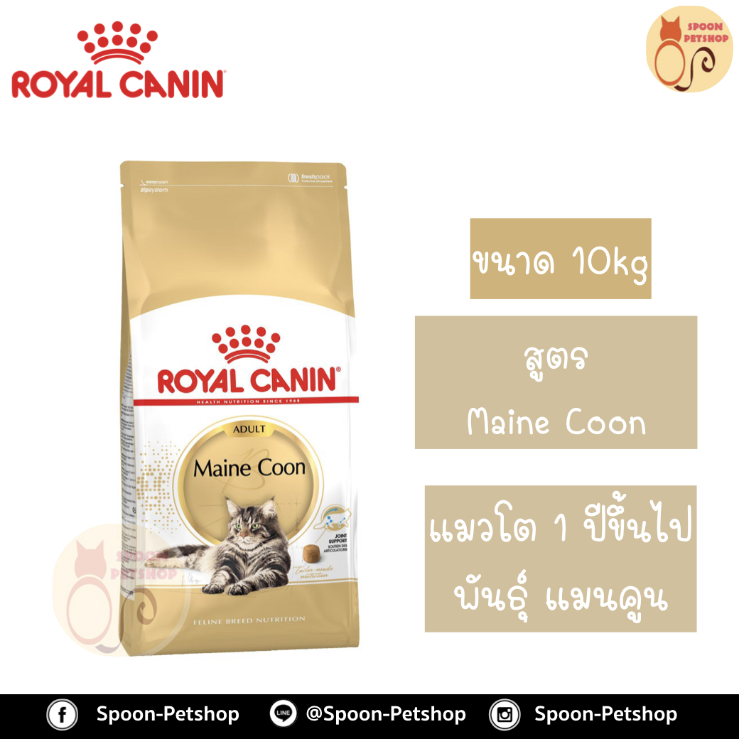 Royal Canin อาหารแมว โรยัล คานิน Mainecoon 31 สำหรับ แมวโต สายพันธุ์แมนคูน กระสอบ 10kg