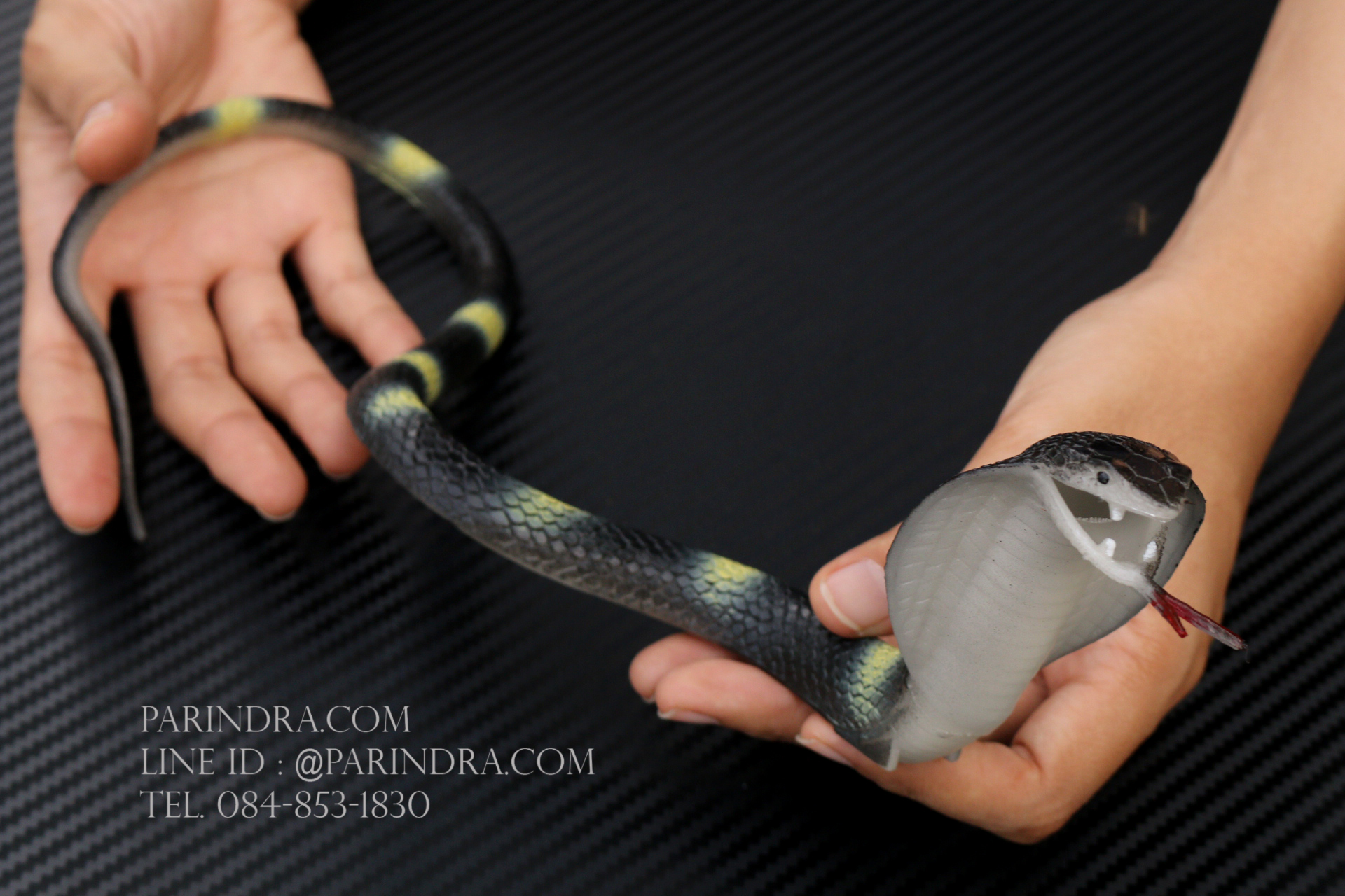 โมเดลงูเห่า เหมือนจริงมาก ทำจากยางยืดหยุ่น สีดำ ลายขาวเหลือง