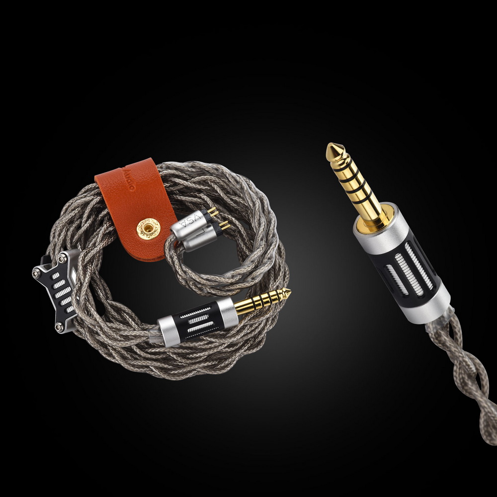 Ear Acoustic Audio VSA-PM Crown หูฟัง IEMs ไดรเวอร์ Planar แบบสามช่องแม่เหล็ก ไดอะแฟรมอะลูมิเนียม ประกันศูนย์ไทย