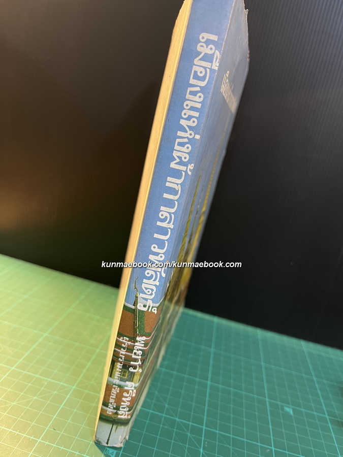 เมืองแห่งผ้ากาสาวพัสตร์ ผลงานของ พเยาว์ ศรีหงส์