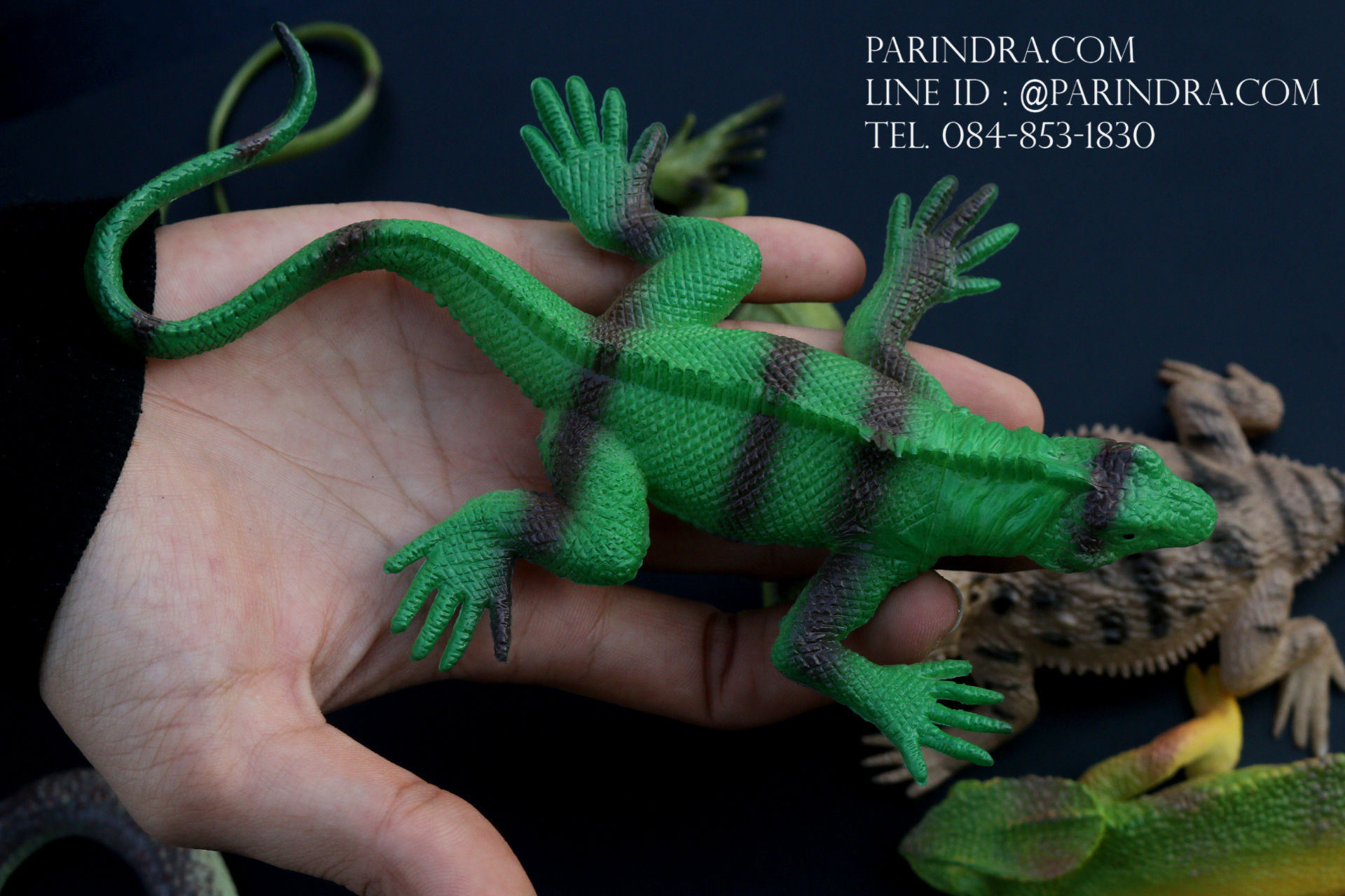 โมเดลสัตว์ชุด รวมสัตว์เลื้อยคลาน Reptile MIXED