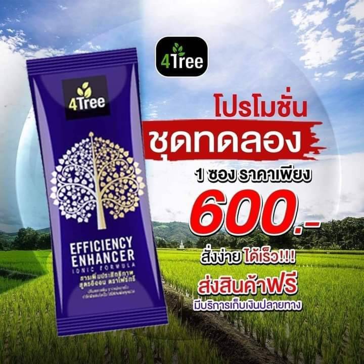 4Tree ของแท้ 100% ราคา 600 บาท