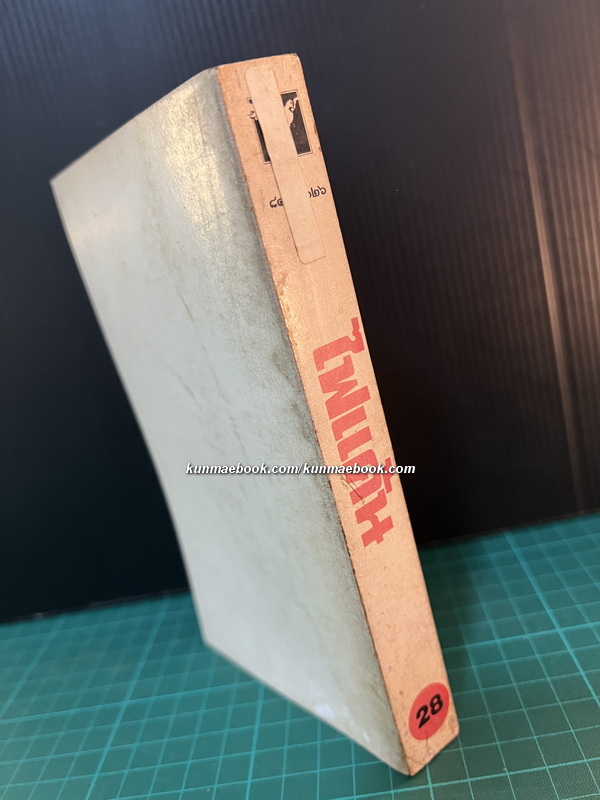 ไฟแค้น ( รวมเรื่องสั้นแปลจากจีน )