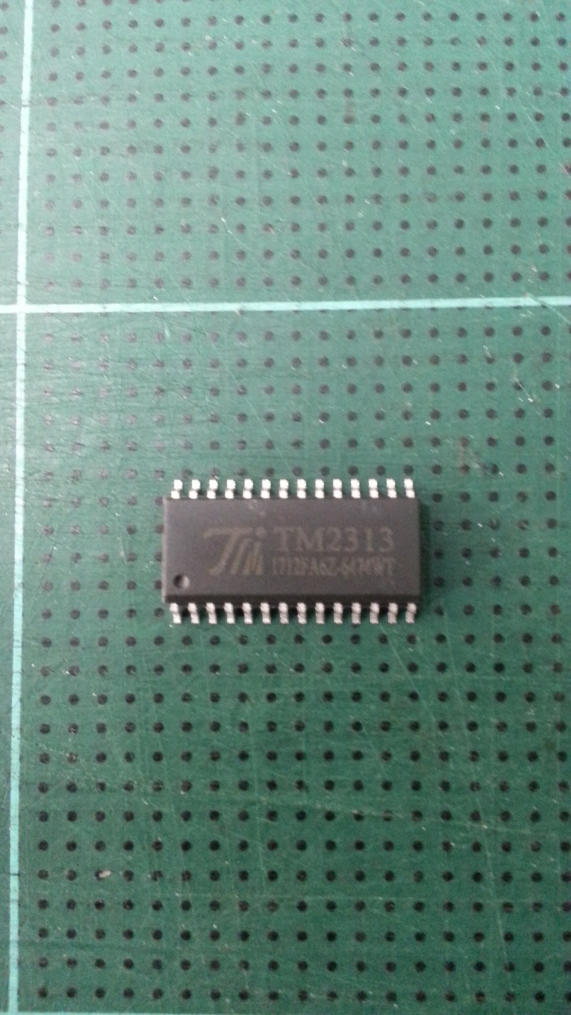 TM2313