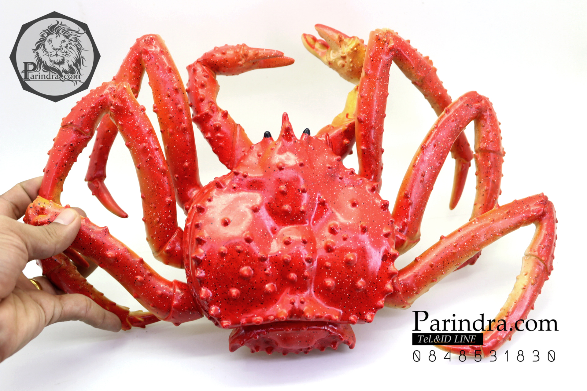 โมเดลปูอะลาสก้า Alaska Crab ตั้งโชว์สวย ขนาดใหญ่ 14 นิ้ว