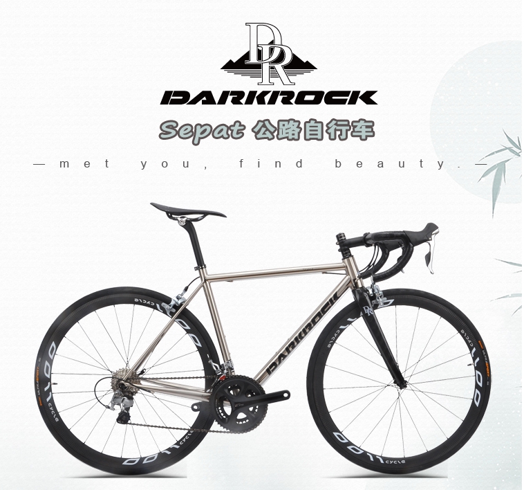 DARKROCK Sepat Road Bike CR-MO 4135 Frameset, 700c