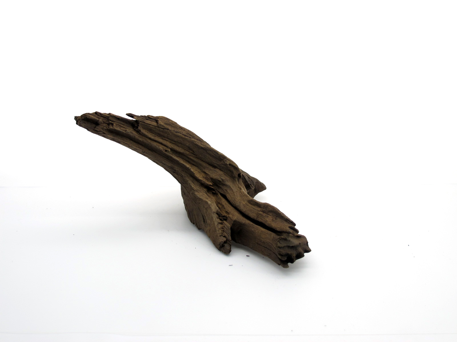 ขอนไม้ตกแต่งตู้ปลาหรือใช้เลี้ยงสัตว์เลื้อยคลาน 062