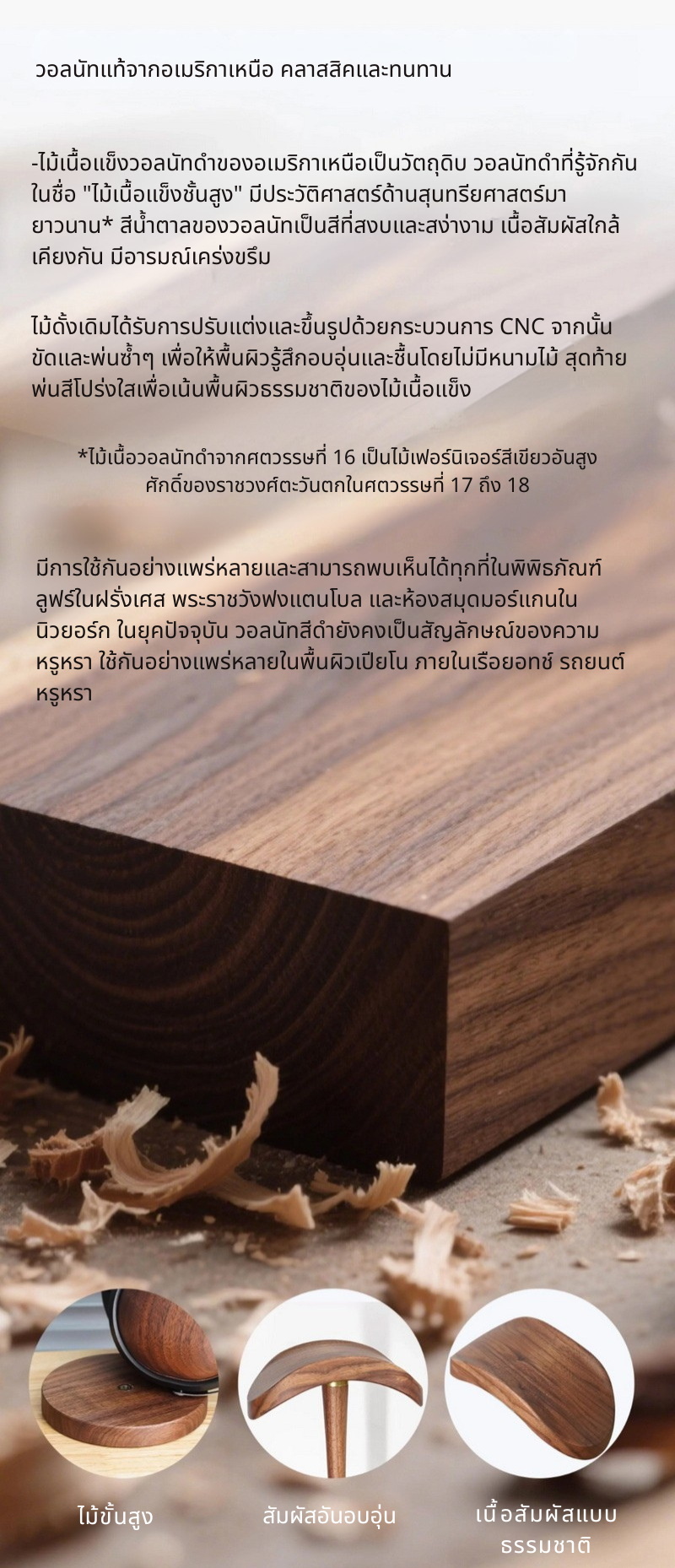 FiiO HS21 ขาตั้งหูฟัง Headphone ดูดีมีสไตล์ สำหรับแขวนหูฟังที่คุณชื่นชอบ