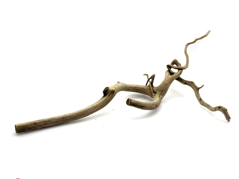 ขอนไม้ตกแต่งตู้ปลาหรือใช้เลี้ยงสัตว์เลื้อยคลาน 078