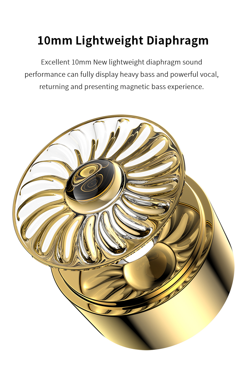 ขาย Blon BL-A8 หูฟังระดับเรือธง ไดรเวอร์ Dynamic บอดี้โลหะหรู ประกันศูนย์ไทย