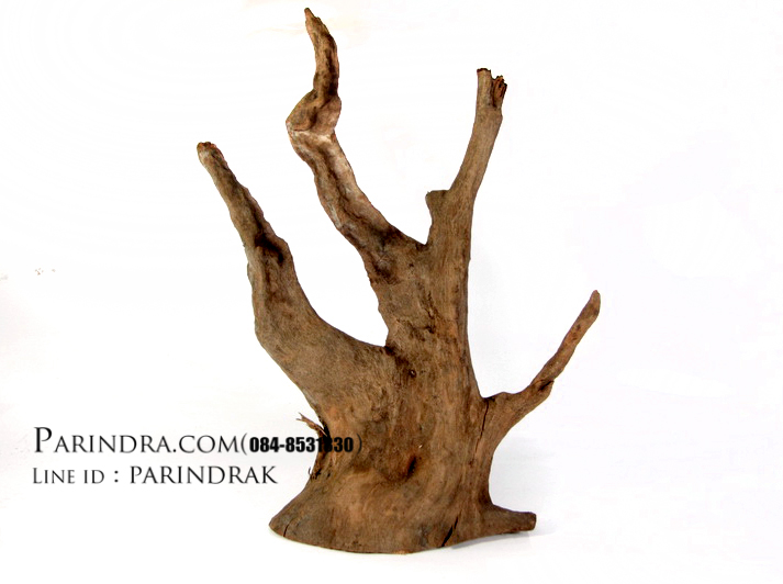 ขอนไม้ตกแต่งตู้ปลาหรือใช้เลี้ยงสัตว์เลื้อยคลาน 006