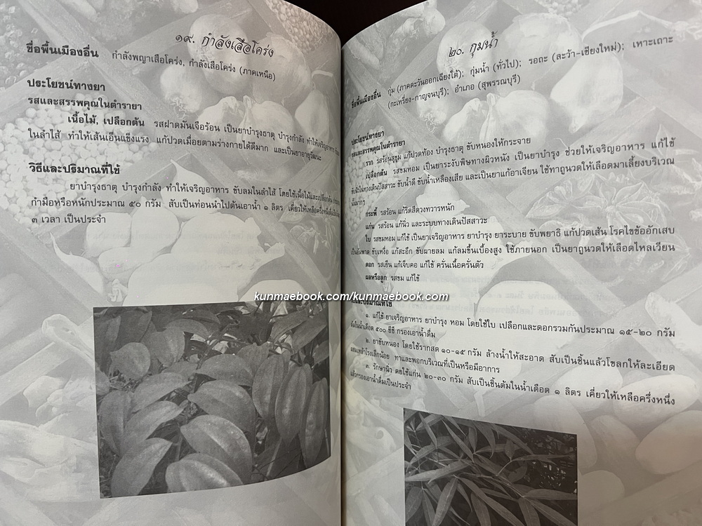 รักษาโรคด้วยสมุนไพรใกล้ตัว / อนุสรณ์ในงานพระราชทานเพลิงศพ คุณแม่ล้วน เพ็ชร์สุข