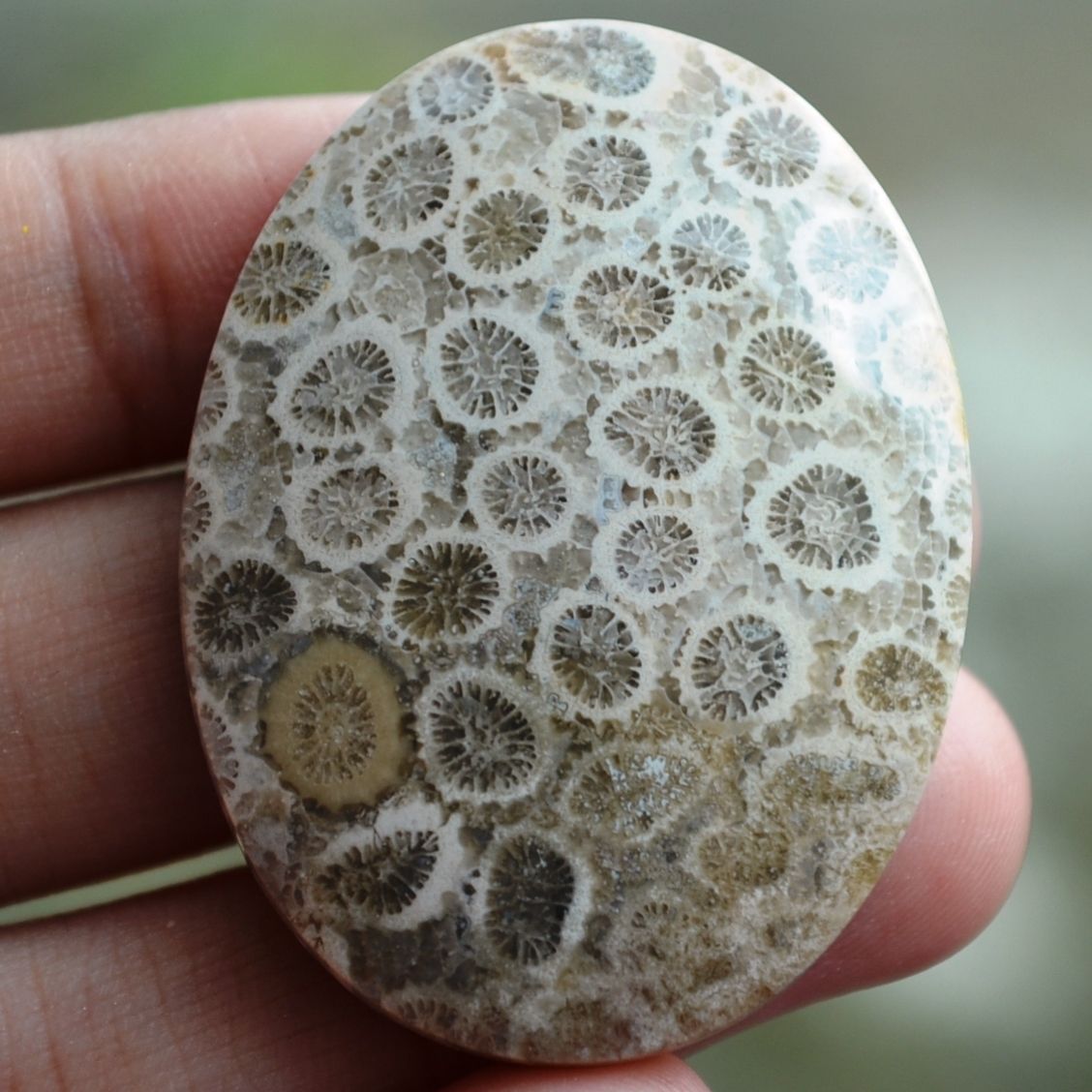 ฟอสซิลหินปะการังขัด Fossil Coral ใหญ่และหนา สำหรับห้อยคอ หรือ พวงกุญแจ คัดสวยพิเศษ #CRF023
