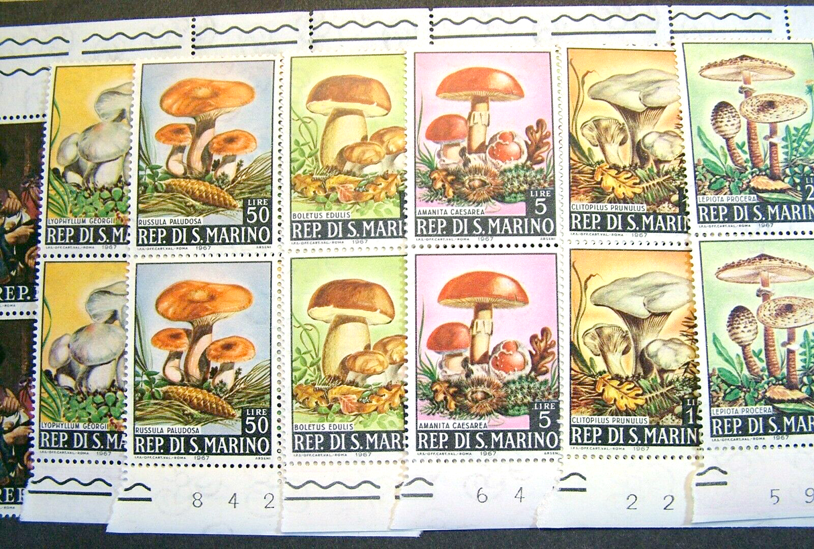 แสตมป์ซานมาริโน ชุด MUSHROOMS เห็ดชนิตต่างๆ ปี 1967 - SAN MARINO