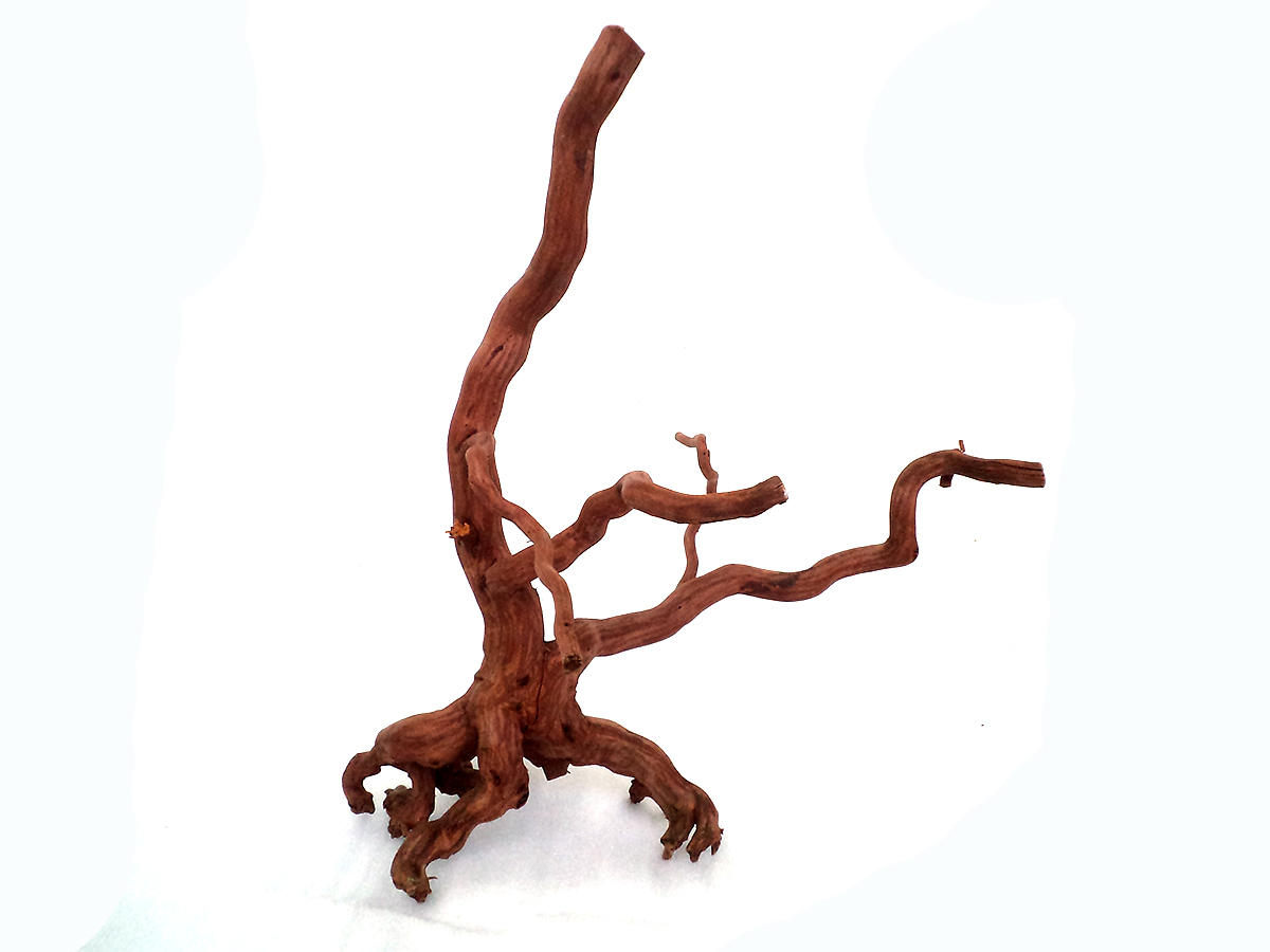 รากไม้แดงตกแต่งตู้ปลาหรือใช้เลี้ยงสัตว์เลื้อยคลาน ขนาดใหญ่ สูง 17 นิ้ว 027