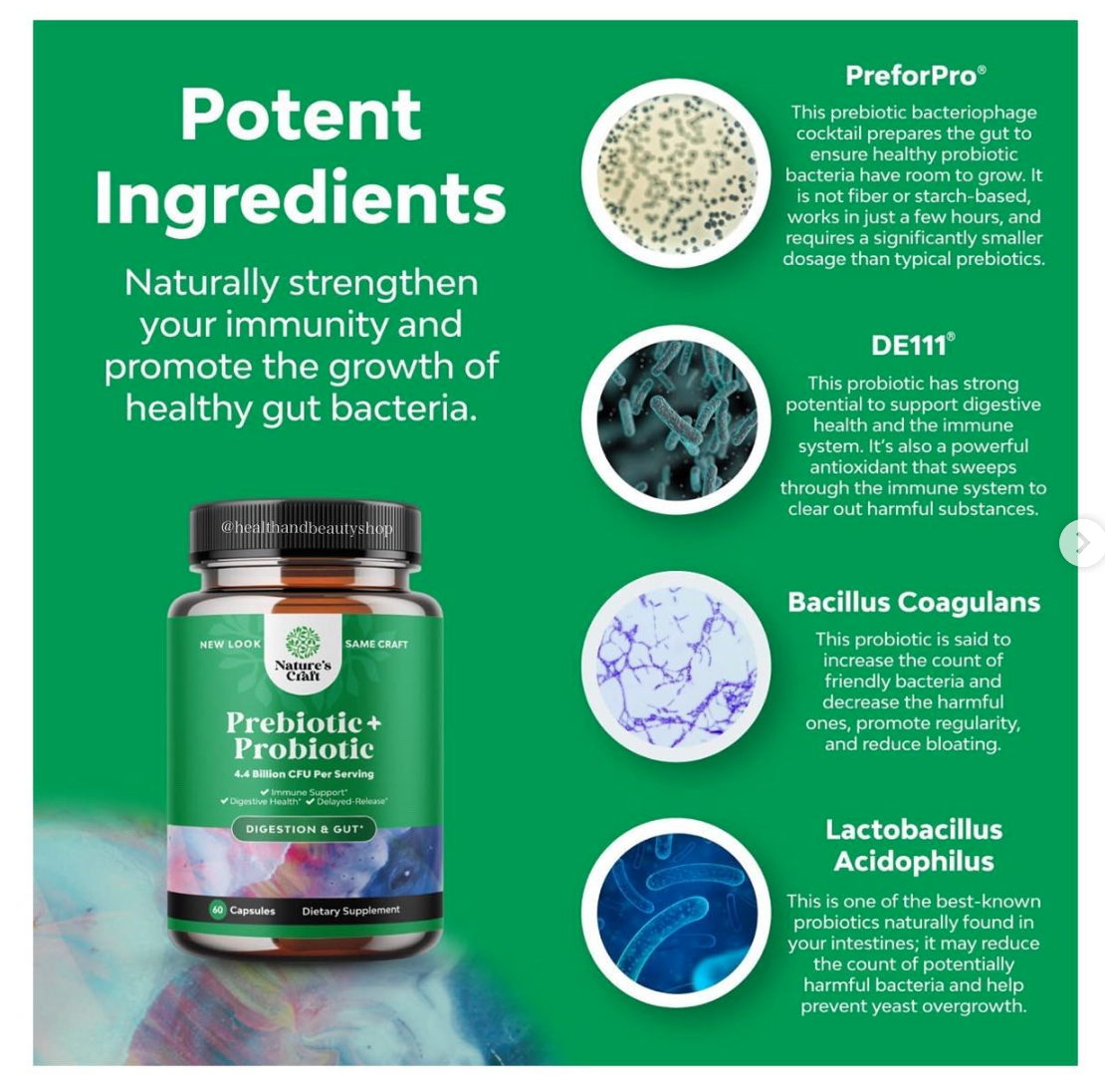 Natures Craft Prebiotic + Probiotic 60 Capsules