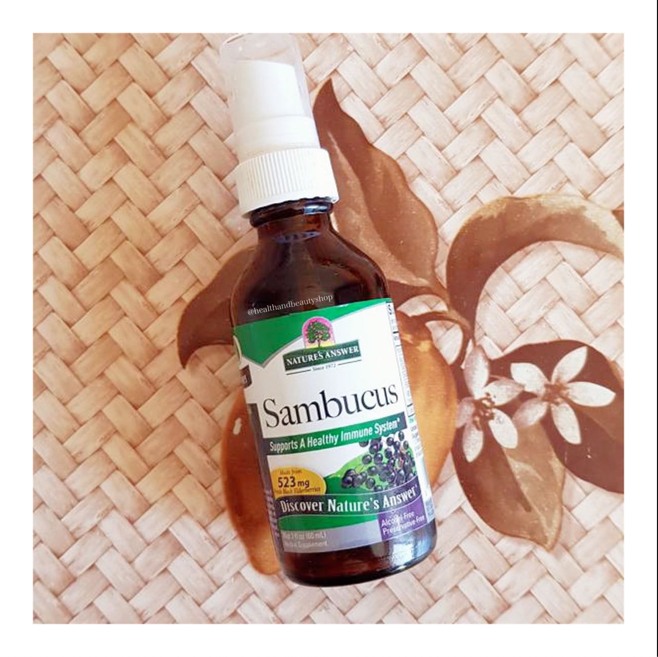 Nature's Answer Sambucus Black Elderberry Extract Spray Alcohol-Free 2 fl oz (60 ml)