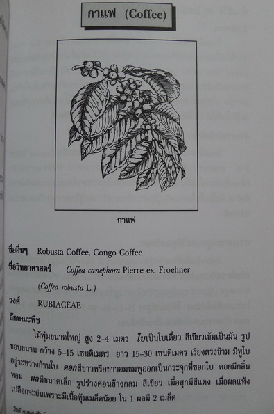 สมุนไพรในสวนครัว ผลงานของ วันดี กฤษณพันธ์ , เอมอร โสมนะพันธุ์ และเสาวณี สุริยาภณานนท์