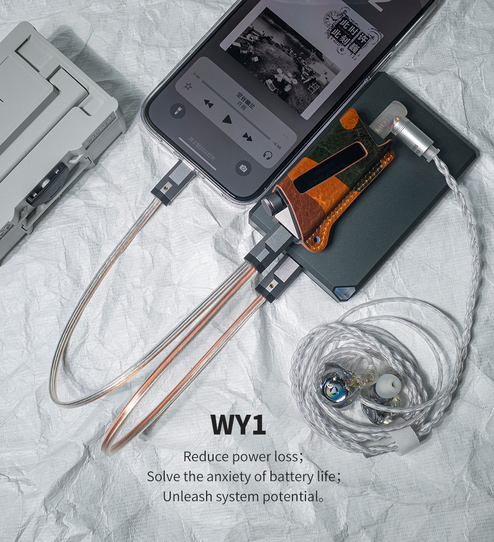 luxury & precision WY1 สาย Y สำหรับ DAP ต่อกับหางหนู โดยใช้แหล่งจ่ายไฟแยก แก้ไขการกินแบต เสียงดีขึ้น
