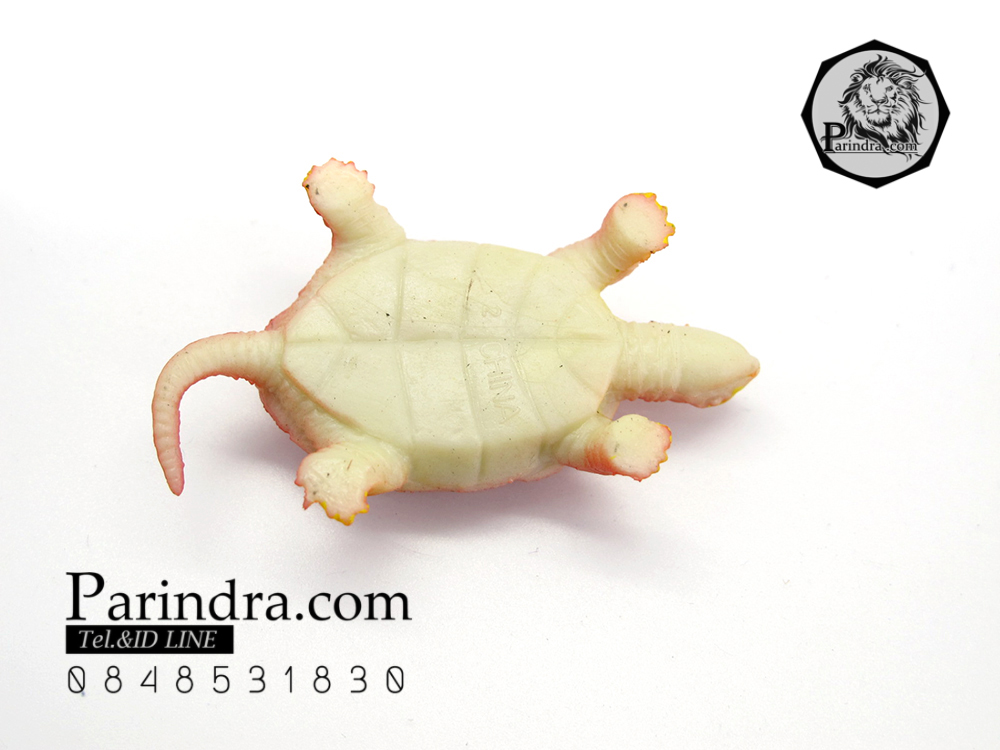 โมเดลเต่าสแนปปิ้ง ชุดคู่สองตัว