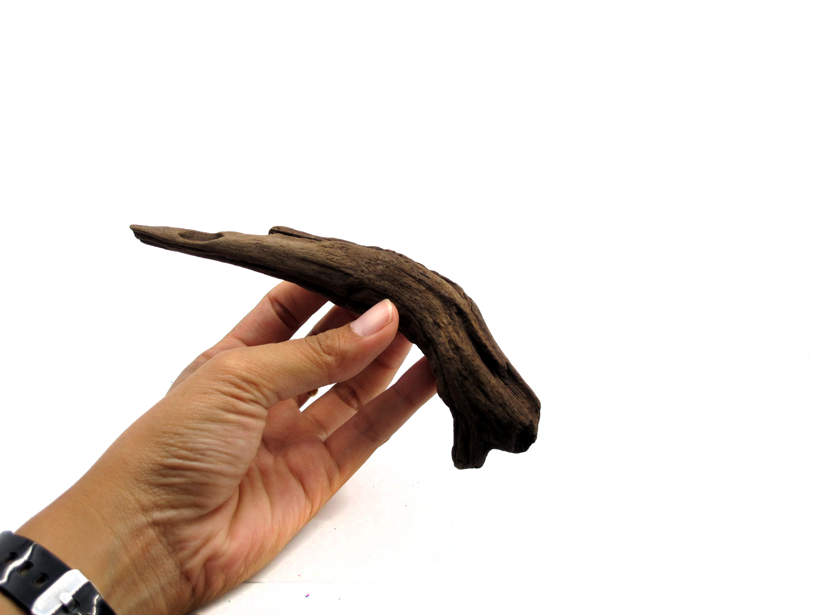 ขอนไม้ตกแต่งตู้ปลาหรือใช้เลี้ยงสัตว์เลื้อยคลาน 063