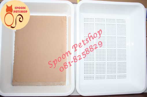 กระบะทราย แมว 2 ชั้น Sukina Petto มี 3 สี