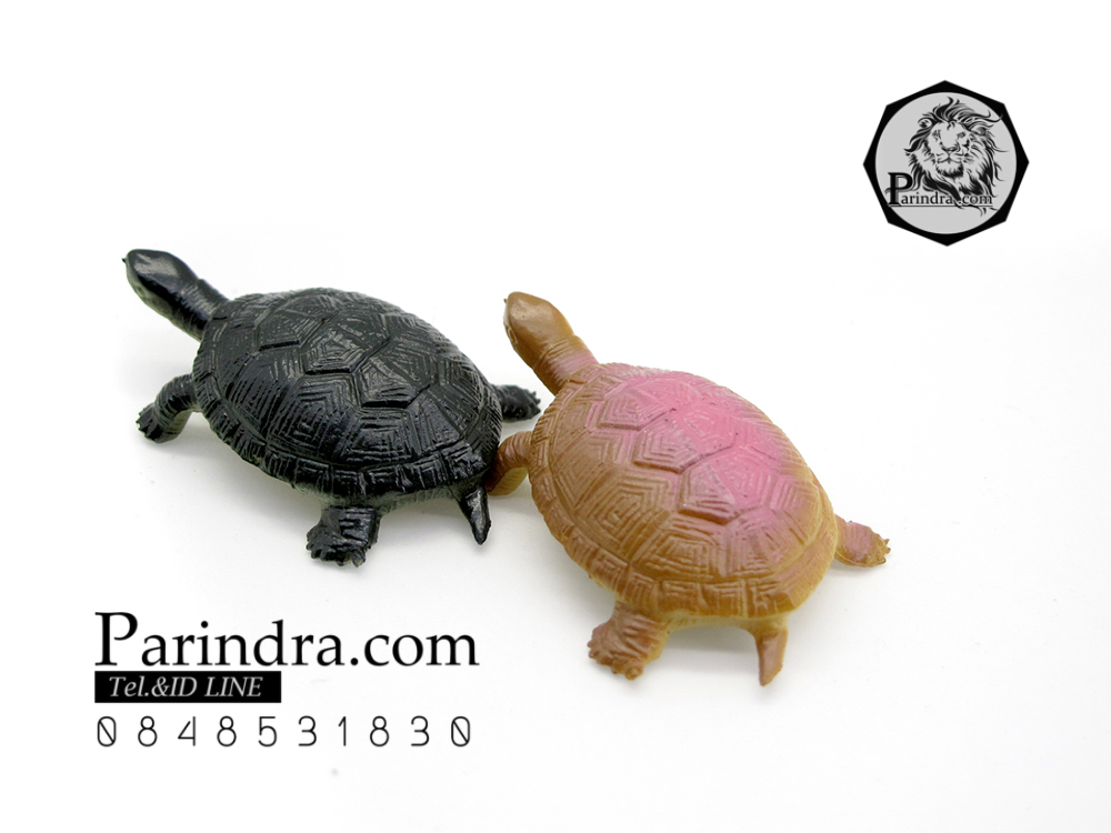 โมเดลเต่า ชุดคู่สองตัว