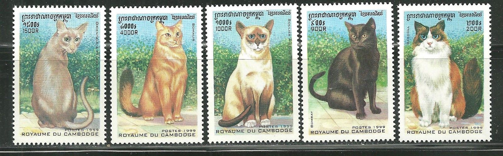แสตมป์กัมพูชา ชุด Cats แมวสายพันธุ์ต่างๆ ปี 1999 - Cambodia