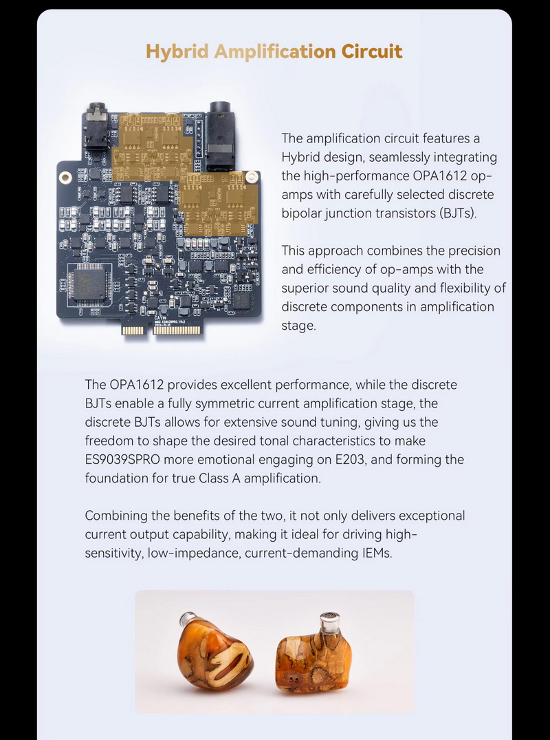 Cayin Board E203 เมนบอร์ดเสียงสำหรับ N6III พร้อมชิป DAC ESS SABRE ES9039Pro ประกันศูนย์ไทย