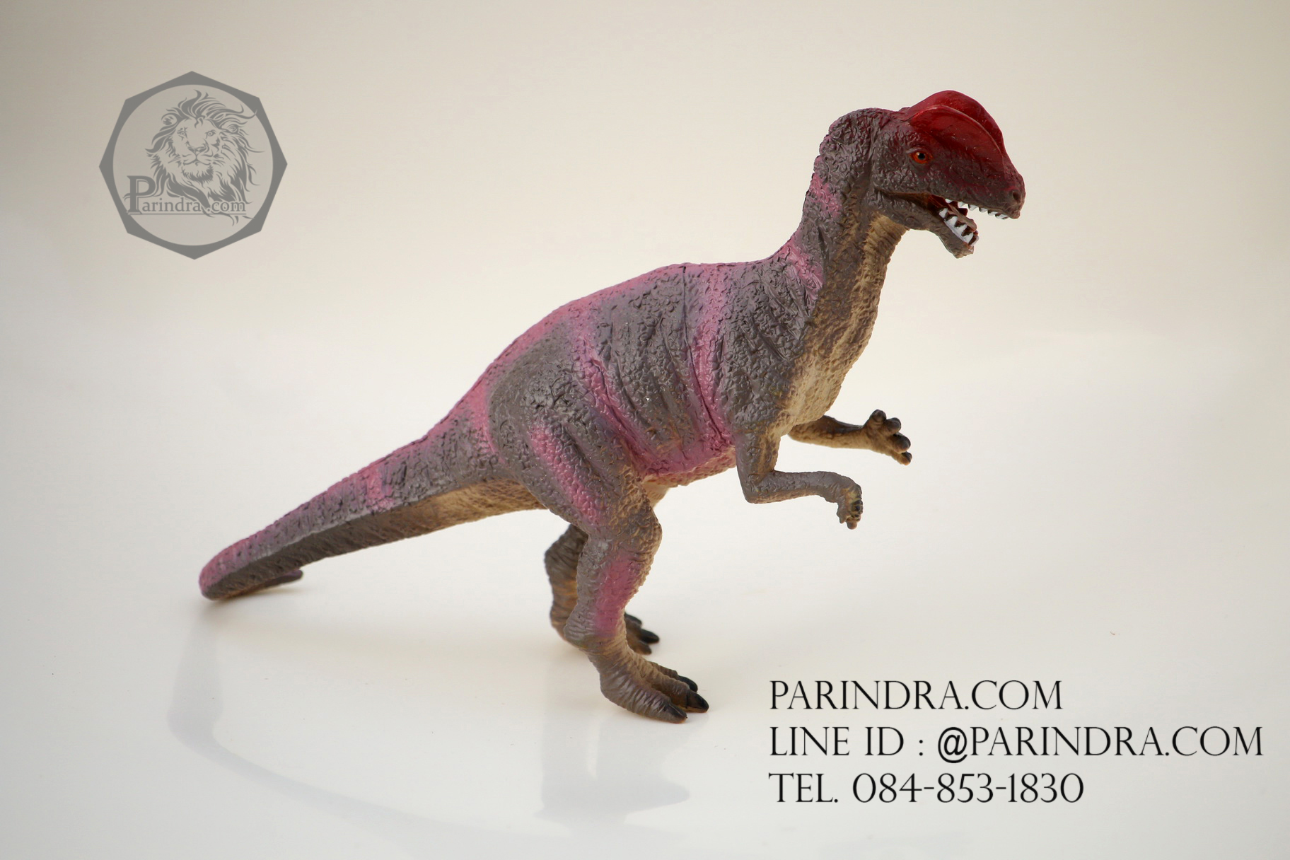 โมเดลไดโนเสาร์ Dilophosaurus (ไดโลโฟซอรัส)