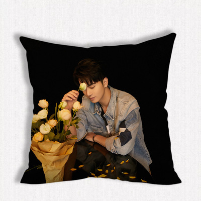 หมอน Caesar Wu (อู๋ซีเจ๋อ)