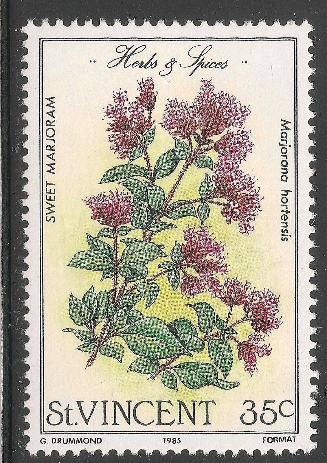 แสตมป์เซนต์วินเซนต์ ชุด HERB & SPICES ปี 1985 - St. VINCENT & THE GRENADINES